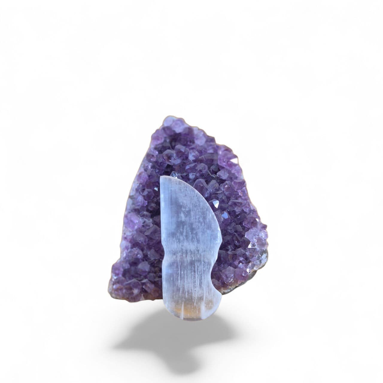 WhatsApp Image 2025-10-25 at 4.41.24 PM